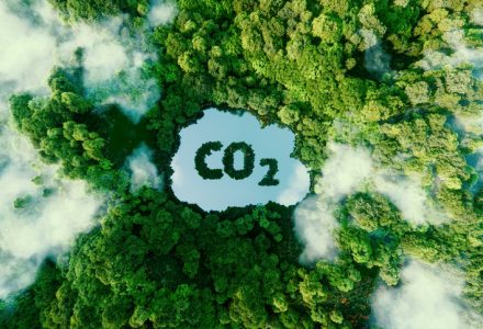 cut co2 emissions environmentally friendly