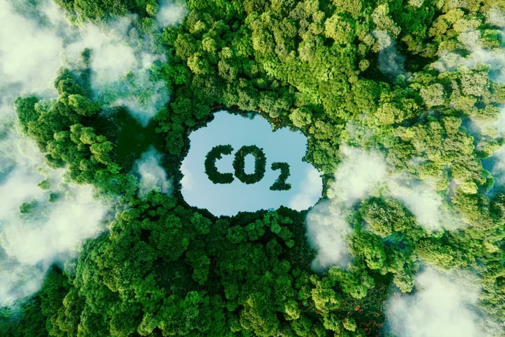 cut co2 emissions environmentally friendly
